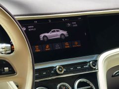 Bentley Continental 2023 4.0T GT S V8 - фото 12