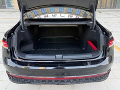 Volkswagen Passat 2025 Pro 380TSI Long Yao Edition - фото 18