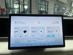 BYD Qin L DM-i 120KM transcendent - фото 14