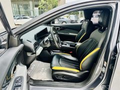 Trumpchi Shadow Leopard 2021 270T DCT J15 version - фото 11