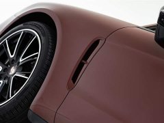 Porsche Panamera 2021 Panamera Executive Extended Edition 2.9T - фото 7
