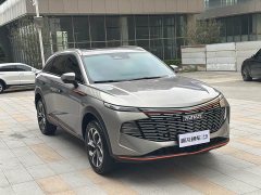 Haval Beast 2022 1.5T Smart Edition - фото 6