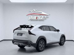 Lynk & Co Yingku 2022 1.5T Supernova Edition - фото 7
