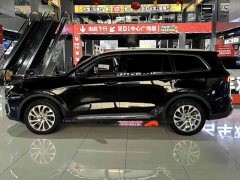 Lynk & Co Lingyu 2021 EcoBoost 225 platinum collar type 5 seats - фото 5