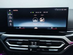 BMW 3 Series 320Li M Sport Package - фото 16