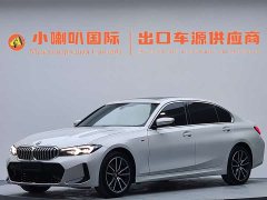 BMW 3 Series 320Li M Sport Package - фото 2