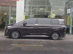 Hongqi HQ9 PHEV 2.0T four-wheel drive luxury version - фото 4