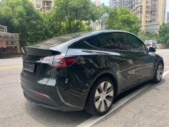 Tesla Model Y rear-wheel drive version - фото 12