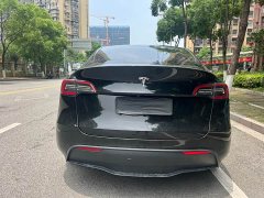 Tesla Model Y rear-wheel drive version - фото 7