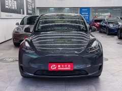 Tesla Model Y long-range all-wheel drive version - фото 2