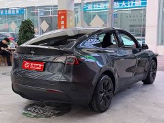 Tesla Model Y long-range all-wheel drive version - фото 7