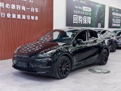 Tesla Model Y long-range all-wheel drive version - фото 1