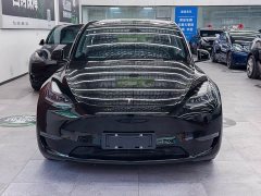 Tesla Model Y long-range all-wheel drive version - фото 2
