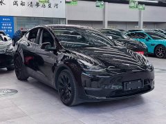 Tesla Model Y long-range all-wheel drive version - фото 3