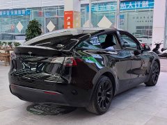 Tesla Model Y long-range all-wheel drive version - фото 7
