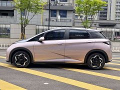BYD Dolphin 2021 405km fashion version - фото 2