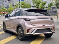 BYD Dolphin 2021 405km fashion version - фото 3