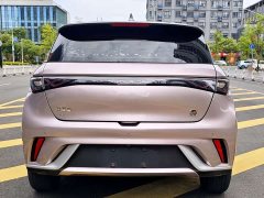 BYD Dolphin 2021 405km fashion version - фото 4