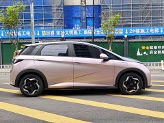 BYD Dolphin 2021 405km fashion version - фото 6