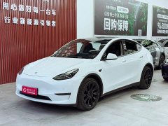 Tesla Model Y long-range all-wheel drive version - фото 1