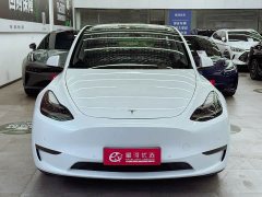 Tesla Model Y long-range all-wheel drive version - фото 2