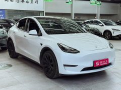 Tesla Model Y long-range all-wheel drive version - фото 3