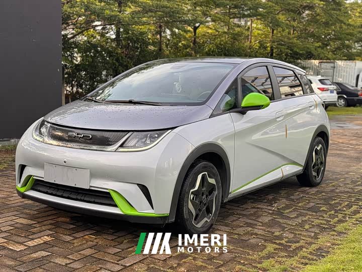 BYD Dolphin 2021 405km fashion version - автомобиль из Китая