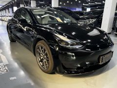 Tesla Model 3 rear-wheel drive version - фото 2