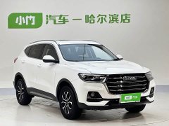 Haval H6 2021 Guochao Edition 1.5T Automatic Urban Edition - фото 3