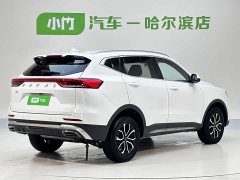 Haval H6 2021 Guochao Edition 1.5T Automatic Urban Edition - фото 4