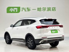 Haval H6 2021 Guochao Edition 1.5T Automatic Urban Edition - фото 6