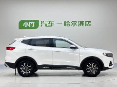 Haval H6 2021 Guochao Edition 1.5T Automatic Urban Edition - фото 7