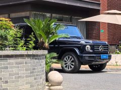 Mercedes-Benz G-Class 2023 G 350 - фото 3