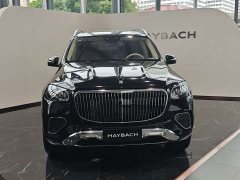Maybach GLS 480 4MATIC Liyi Edition - фото 1