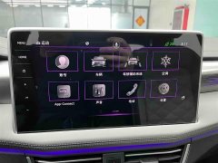 Lexus Tanyue X 2023 380TSI four-wheel drive flagship smart version - фото 6