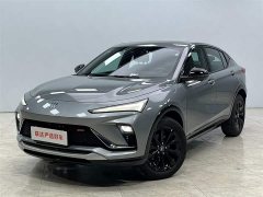 Lexus Gaoyang 2022 1.5T GS Burning Speed Edition - фото 2