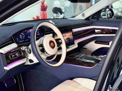 Hongqi Golden Sunflower Guoya 3.0T V6 version - фото 7