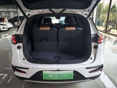 Lexus Tangxin Energy 2021 DM-i 112KM Honor Type - фото 12