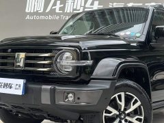 Tank 300 2021 City Edition 2.0T Very Stylish - фото 16