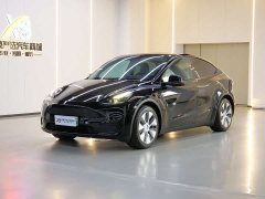Tesla Model Y rear-wheel drive version - фото 1