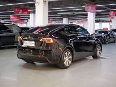 Tesla Model Y rear-wheel drive version - фото 16