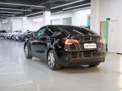 Tesla Model Y rear-wheel drive version - фото 18