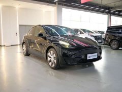 Tesla Model Y rear-wheel drive version - фото 3