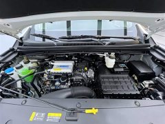 Trumpchi M6 MAX 270T WDCT Deluxe Edition - фото 6