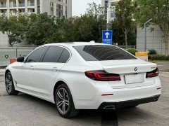 BMW 5 Series facelift 530Li leading luxury package - фото 7