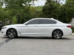 BMW 5 Series facelift 530Li leading luxury package - фото 8