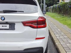 BMW X3 xDrive25i M Sports Package - фото 19