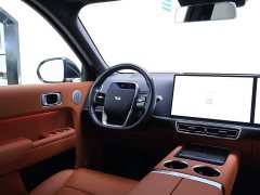 Li Auto Ideal L9 Pro - фото 13