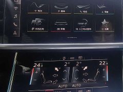 Audi A6L 45 TFSI Premium Dynamic - фото 11