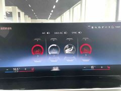 BMW 3 Series 320Li M Sport Package - фото 12